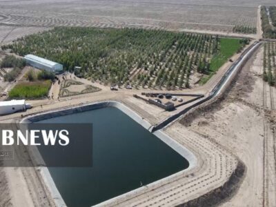 بزرگ‌ترین جنگل شهری غرب آسیا افتتاح شد