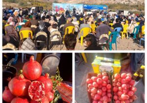 دومین جشنواره گردشگری انار نمهیل هشجین برگزار شد