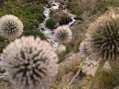 طبیعت بکر و زیبای آبشار گور گور سرعین