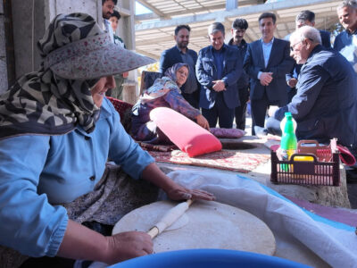 بازدید دستیار رئیس جمهور از مراکز گردشگری شهرستان سرعین+فیلم