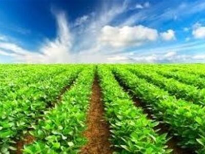 برگزاری نشست صمیمی با محوریت نوآوری و تاب‌آوری بخش کشاورزی