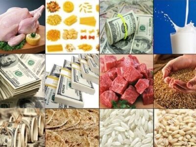 پایان ارز رانتی؛ یارانه به انتهای زنجیره میرسد