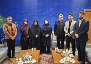 لزوم استفاده خبرنگاران شناسنامه‌دار از اینترنت سفید