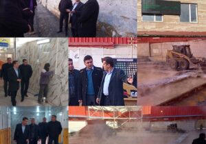 گاومیش گلی با ده میلیارد تومان اعتبار بازسازی می شود
