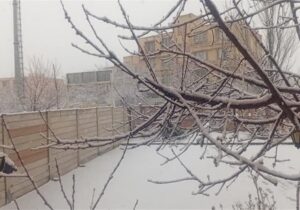 بارش برف در ایستگاه پایانی زمستان
