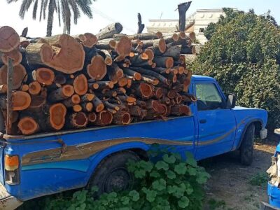 توقیف نیسان حامل چوب جنگلی غیرمجاز در شهرستان رودان