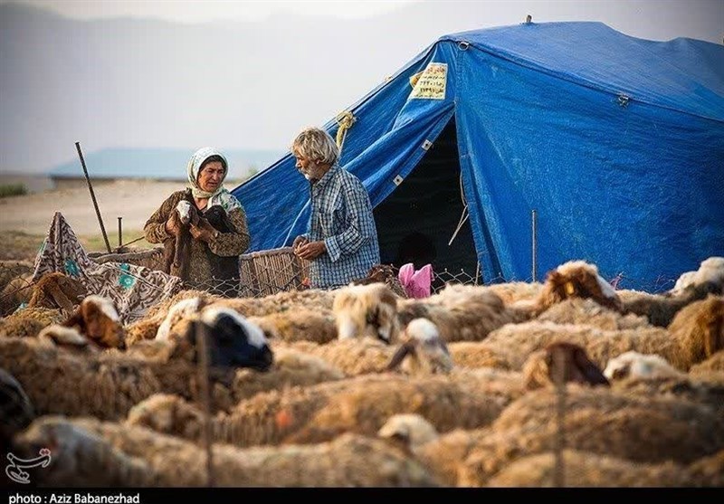 آغاز کوچ بهاره عشایر خراسان رضوی به مراتع سردسیر